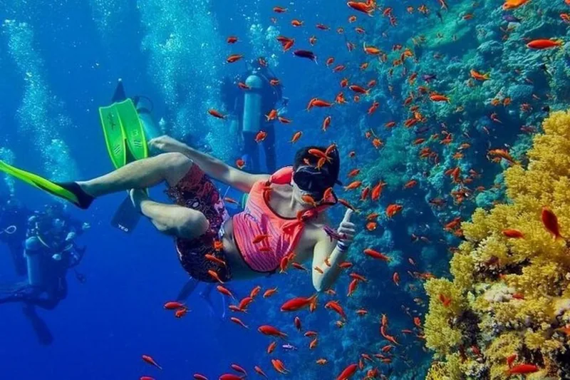 Mnemba Atoll snorkeling in Zanzibar