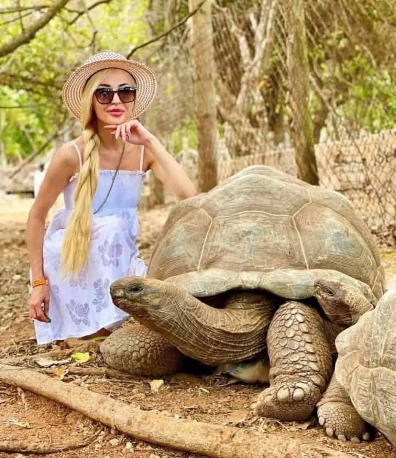 Visitor standing beside a giant Aldabra tortoise on Prison Island