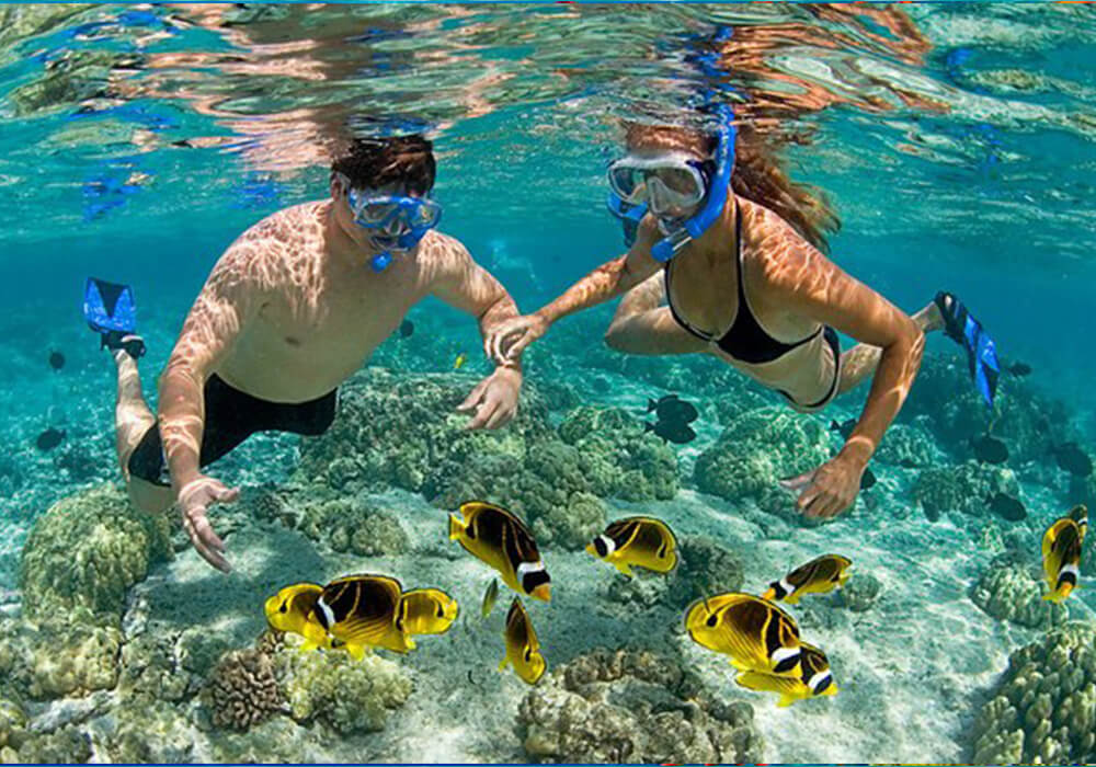 Snorkeling at Mnemba Attol