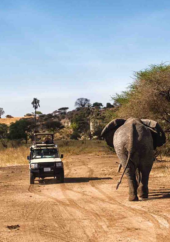 Tanzania safaris & beach vacations