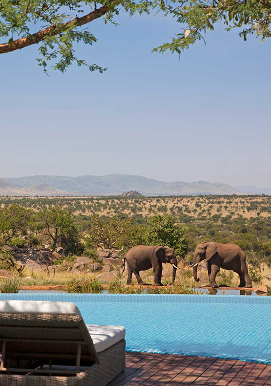 Tanzania Safaris and Beach Vacations