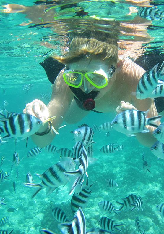 Diving and snorkeling in Zanzibar