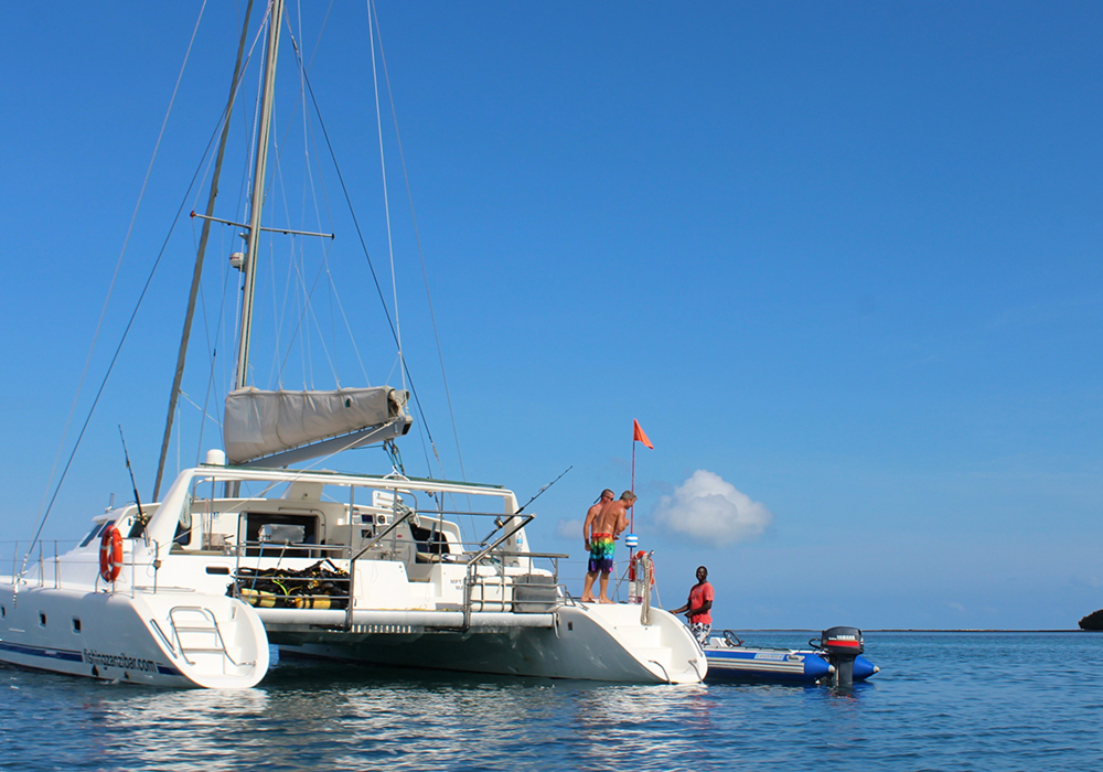 Catamaran Trip